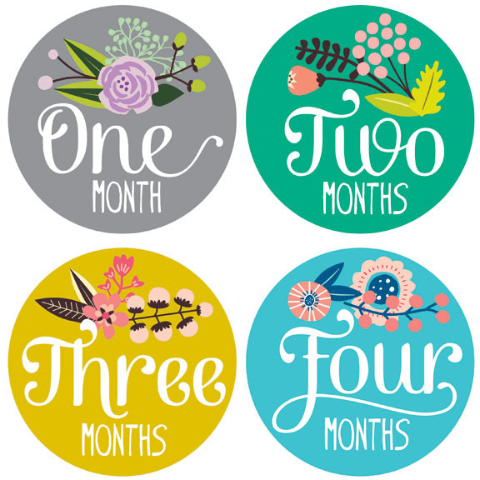 2,653 Baby Month Stickers Royalty-Free Images, Stock Photos & Pictures