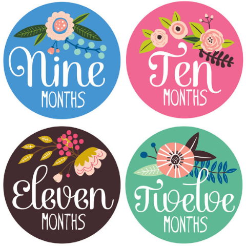 Monthly Baby Growth Stickers - Fruit Collection – Stitch-Able