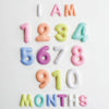 Monthly Milestone Felt Letters - Pastel