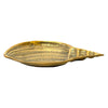 Brass Seashell Jewelry Dish