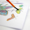 Paint With Water Card -Butterfly