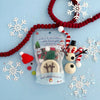Build a Snowman Mini Play Dough Pack