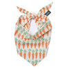 Personalized Dog Bandana
