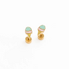 Ice Cream Earrings