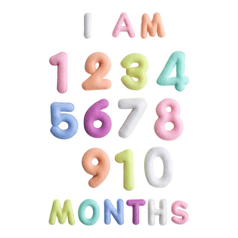 Monthly Milestone Felt Letters - Pastel