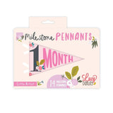 Monthly Baby Milestone Pennants- Floral Collection