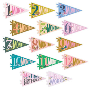 Monthly Baby Milestone Pennants- Floral Collection