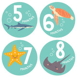 Monthly Baby Growth Stickers - Ocean Collection